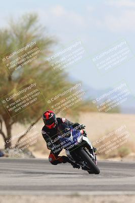 media/Oct-13-2025-Moto Forza (Mon) [[a66d839500]]/3-B Group/Session 4 Turn 4 Tree of Life/